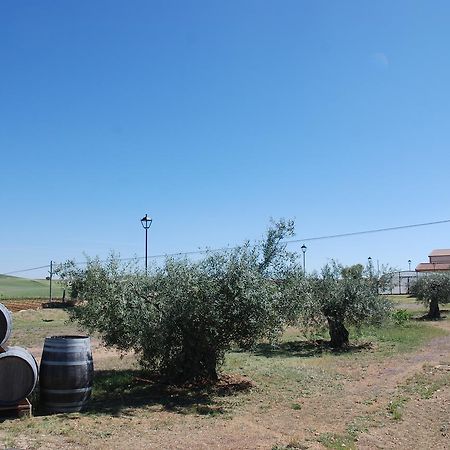 Casa Rural Teso De La Encina Villamor de los Escuderos 外观 照片