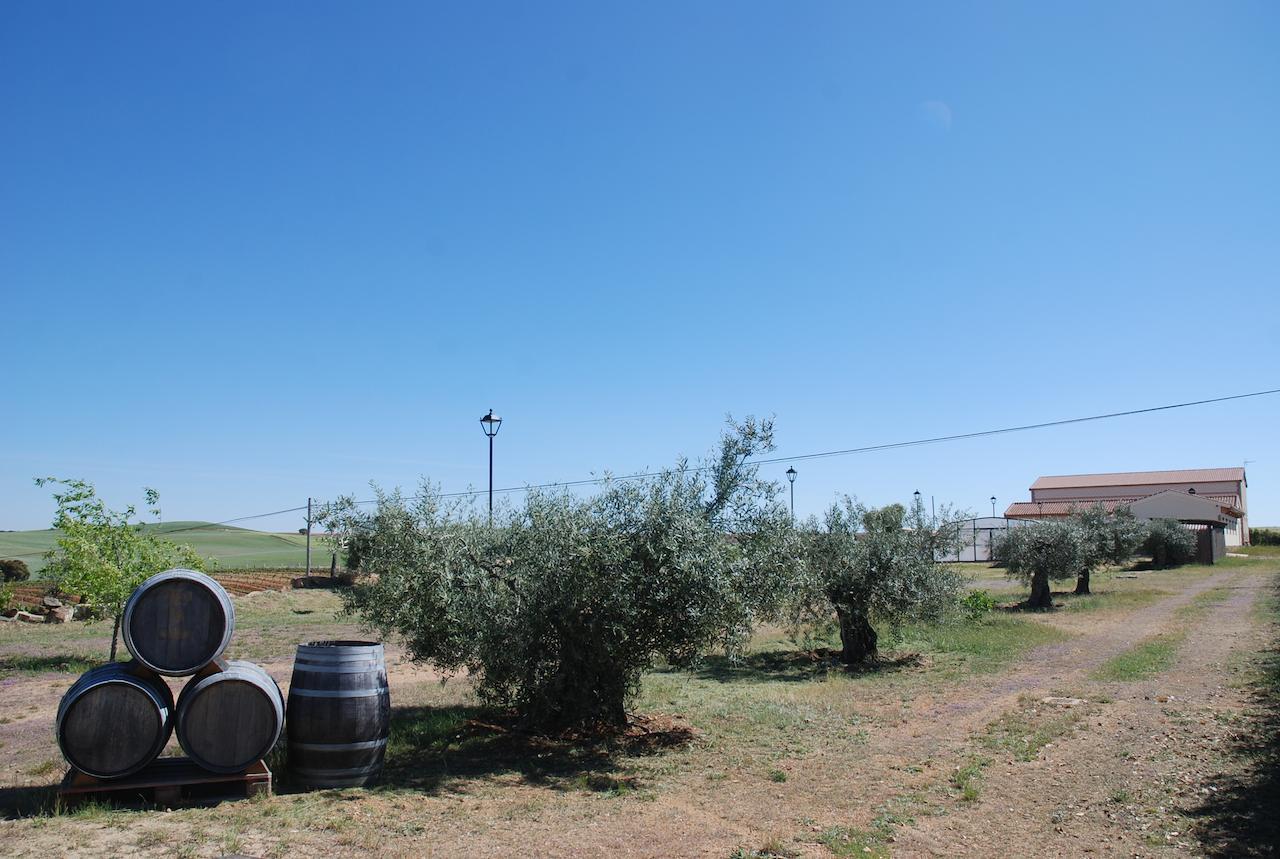 Casa Rural Teso De La Encina Villamor de los Escuderos 外观 照片