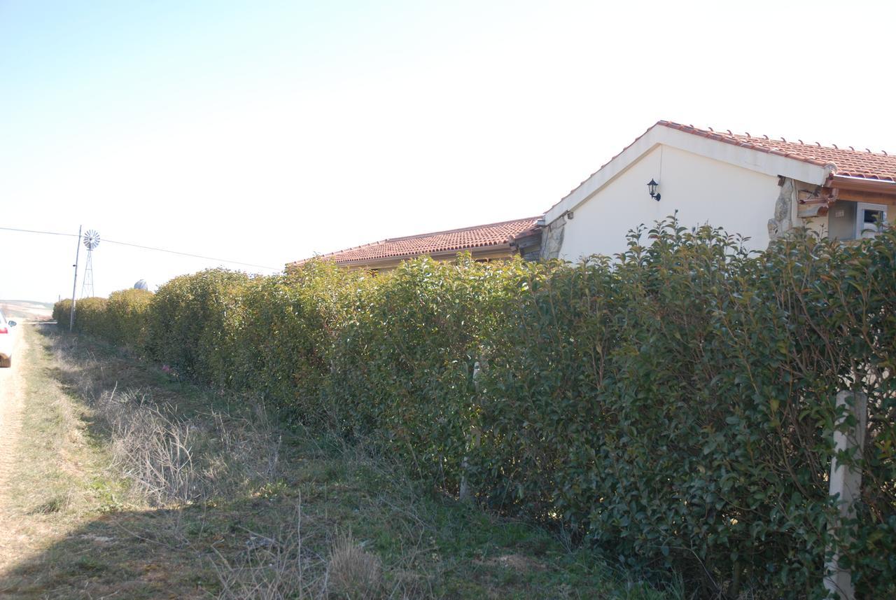 Casa Rural Teso De La Encina Villamor de los Escuderos 外观 照片
