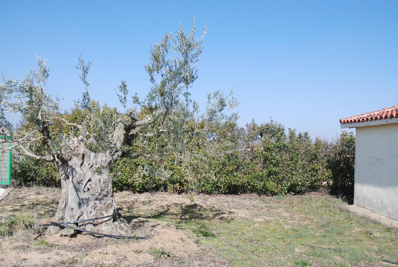 Casa Rural Teso De La Encina Villamor de los Escuderos 外观 照片