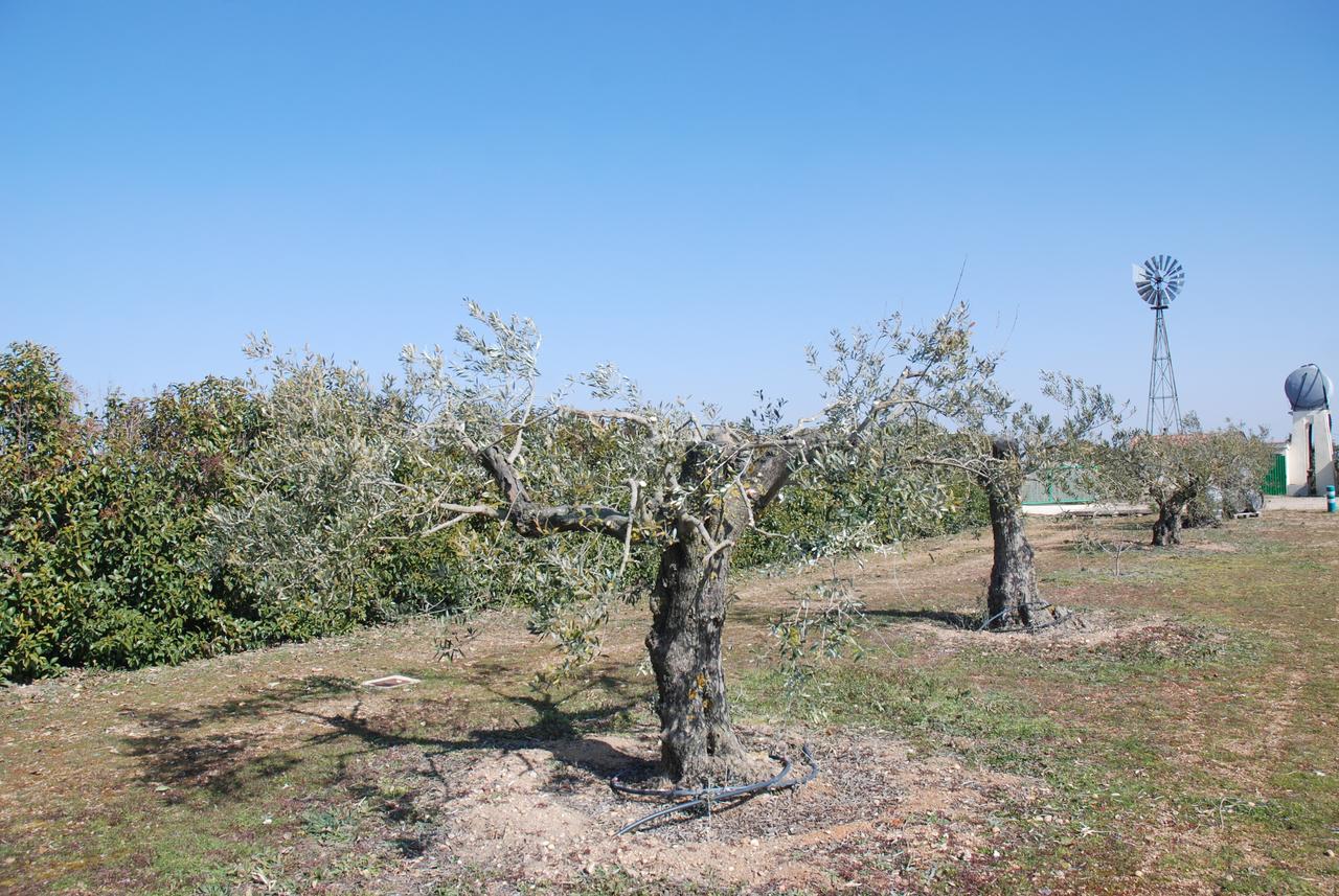 Casa Rural Teso De La Encina Villamor de los Escuderos 外观 照片