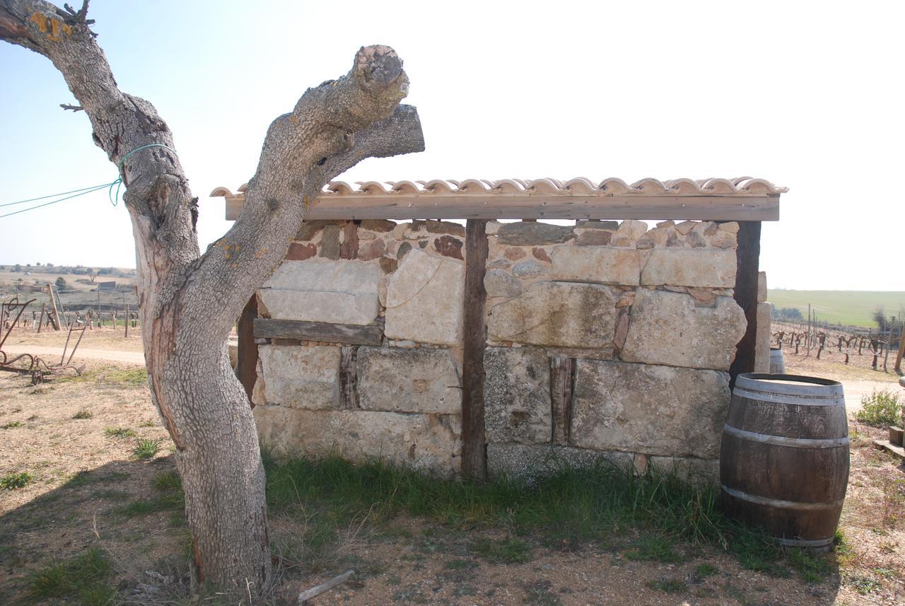 Casa Rural Teso De La Encina Villamor de los Escuderos 外观 照片